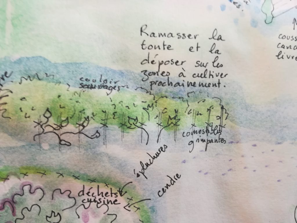 Jardin en permaculture : conseil : utiliser les déchets verts avec prudence et vigilance, mais les utiliser