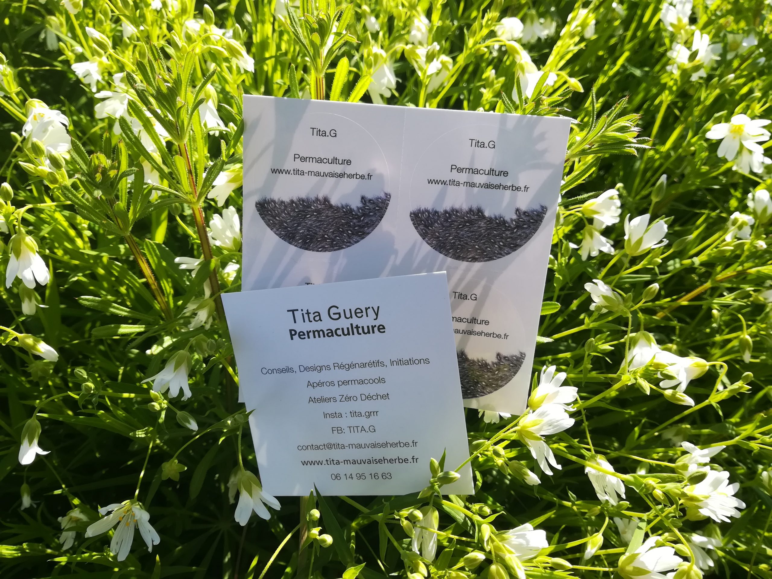 consultation permaculture jardin Tita Poitiers et allentours