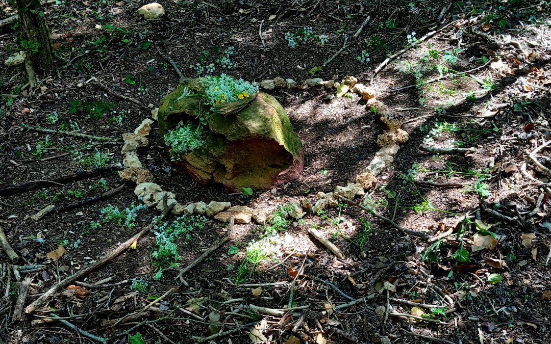 Journée Land Art et Reconnexion à Sa nature